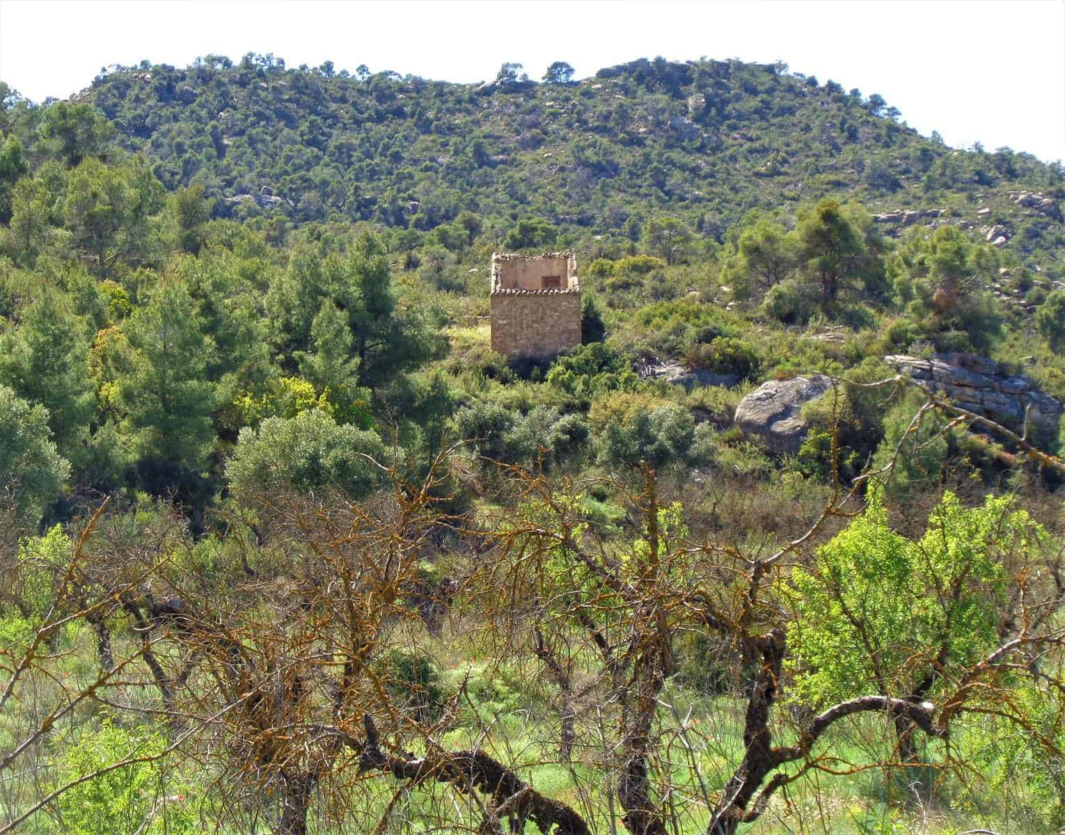 Finca/Casa Rural en Maella en venta - 17.500 € (Ref: 7406962)