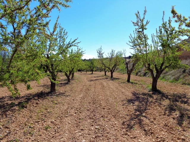 Finca/Country House for sale in Maella - € 14,000 (Ref: 7406967)