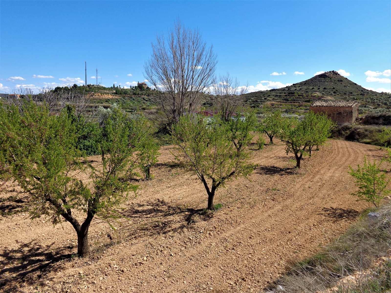 Finca/Landehus til salg i Maella - € 14.000 (Ref: 7406967)