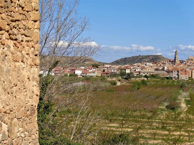 Finca/Casa Rural en Maella en venta - 14.000 € (Ref: 7406967)