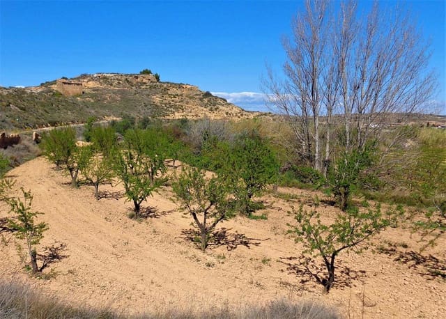 Finca/Casa Rural en Maella en venta - 14.000 € (Ref: 7406967)