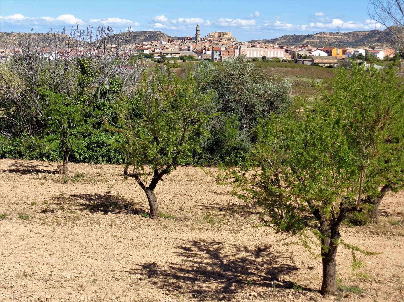 Finca/Casa Rural en Maella en venta - 14.000 € (Ref: 7406967)