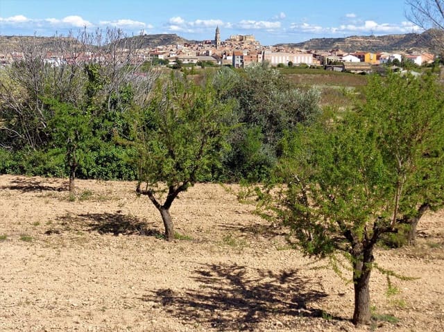 Finca/Casa Rural en Maella en venta - 14.000 € (Ref: 7406967)
