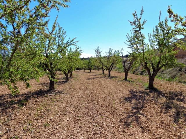 Finca/Casa Rural en Maella en venta - 14.000 € (Ref: 7406967)