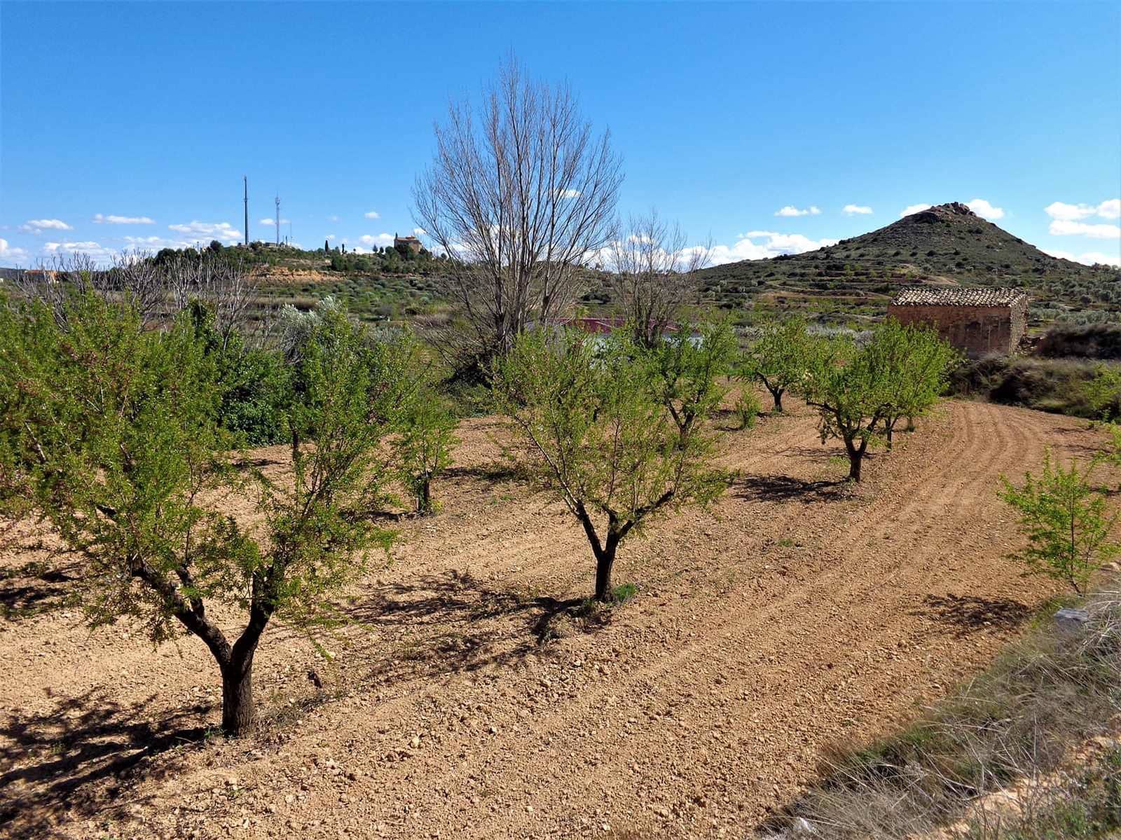 Finca/Casa Rural en Maella en venta - 14.000 € (Ref: 7406967)