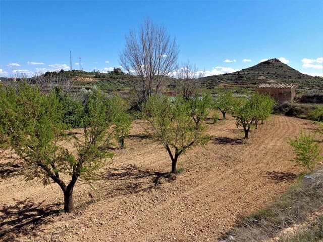 Finca/Casa Rural en Maella en venta - 14.000 € (Ref: 7406967)