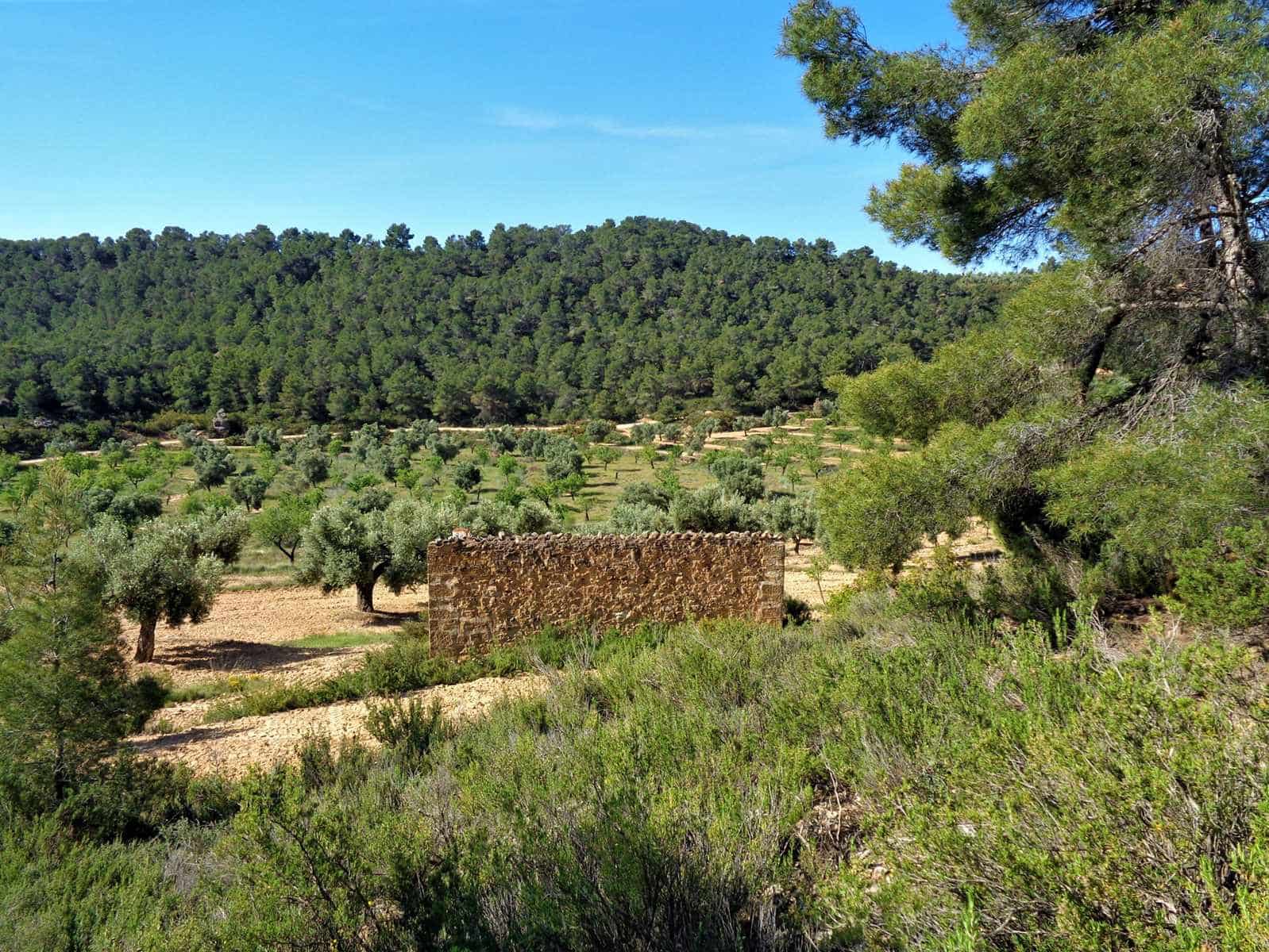 Finca/Casa Rural en Maella en venta - 21.000 € (Ref: 7406970)