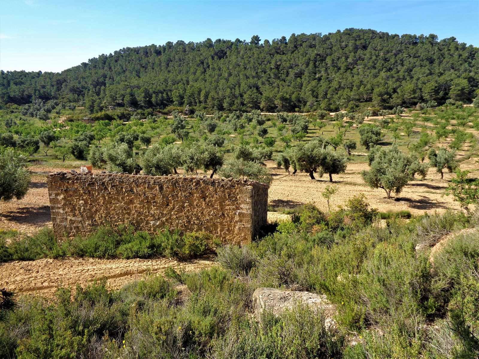 Finca/Casa Rural en Maella en venta - 21.000 € (Ref: 7406970)