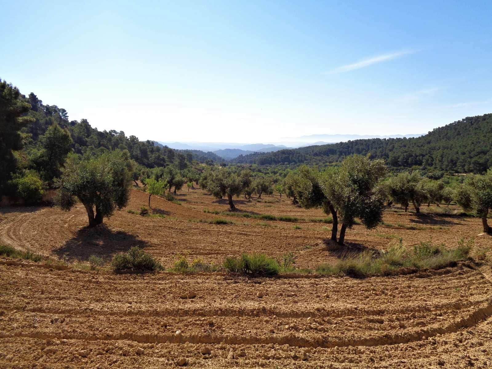 Finca/Casa Rural en Maella en venta - 21.000 € (Ref: 7406970)