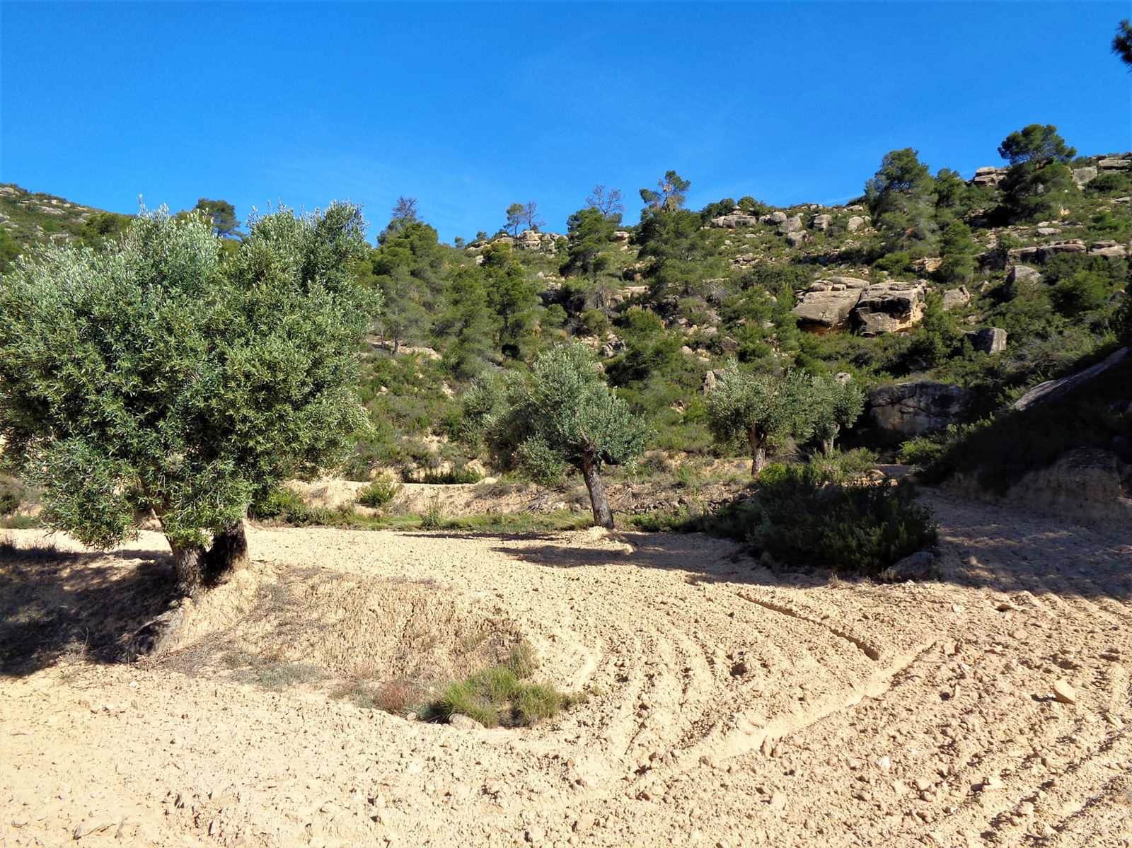 Finca/Casa Rural en Maella en venta - 21.000 € (Ref: 7406970)