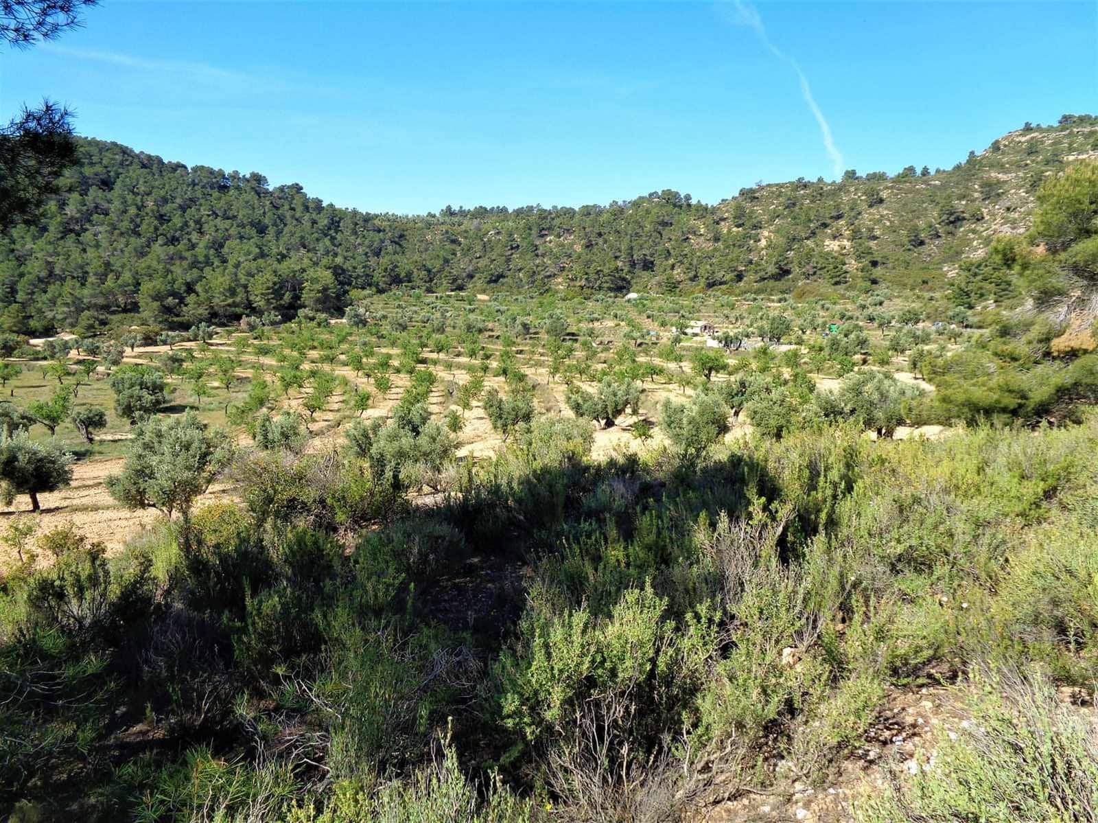 Finca/Casa Rural en Maella en venta - 21.000 € (Ref: 7406970)