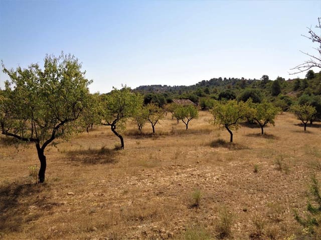 Finca/Landhuis te koop in Maella - € 18.500 (Ref: 7406972)