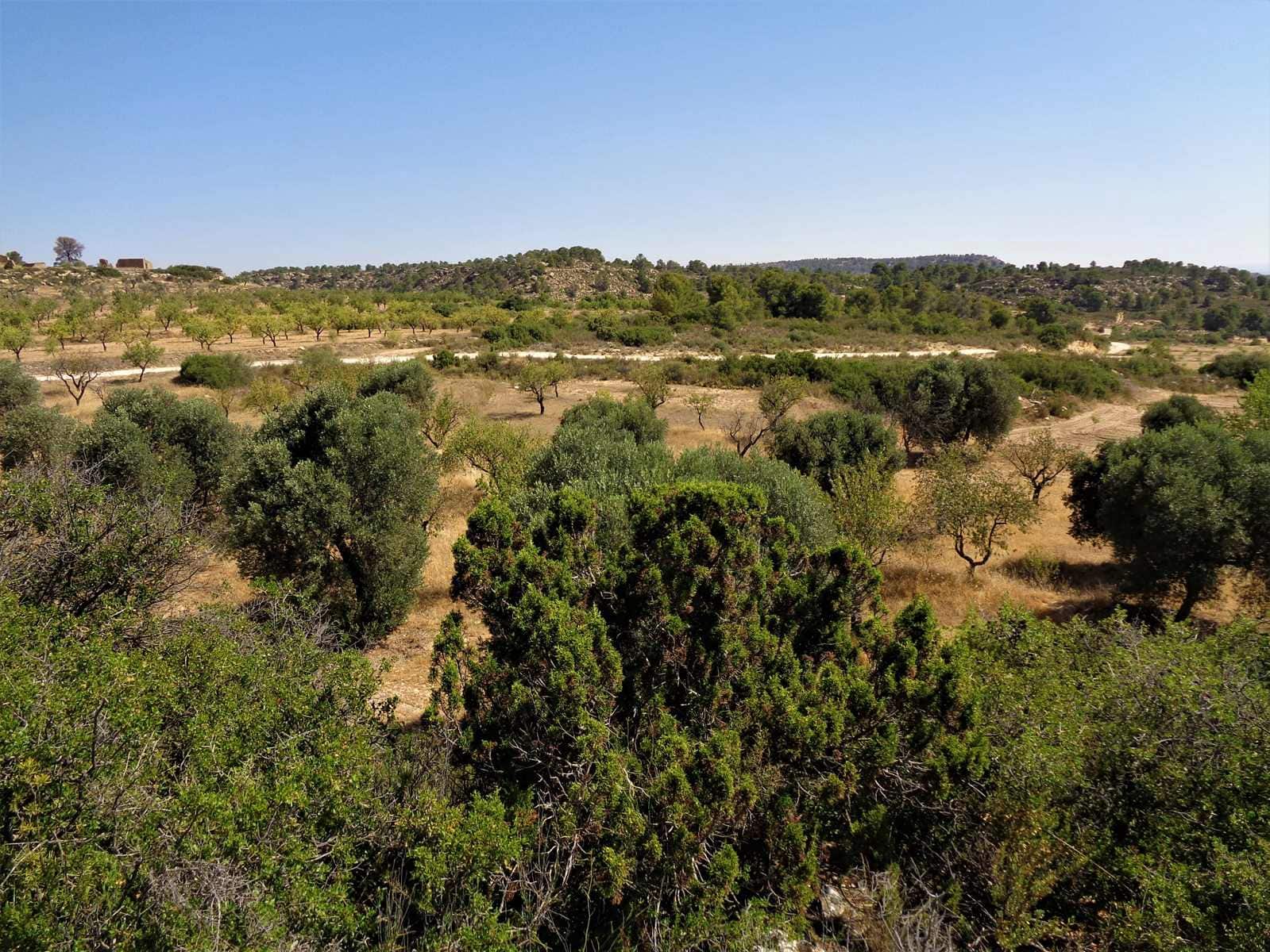 Finca/Hus på landet till salu i Maella - 18 500 € (Ref: 7406972)