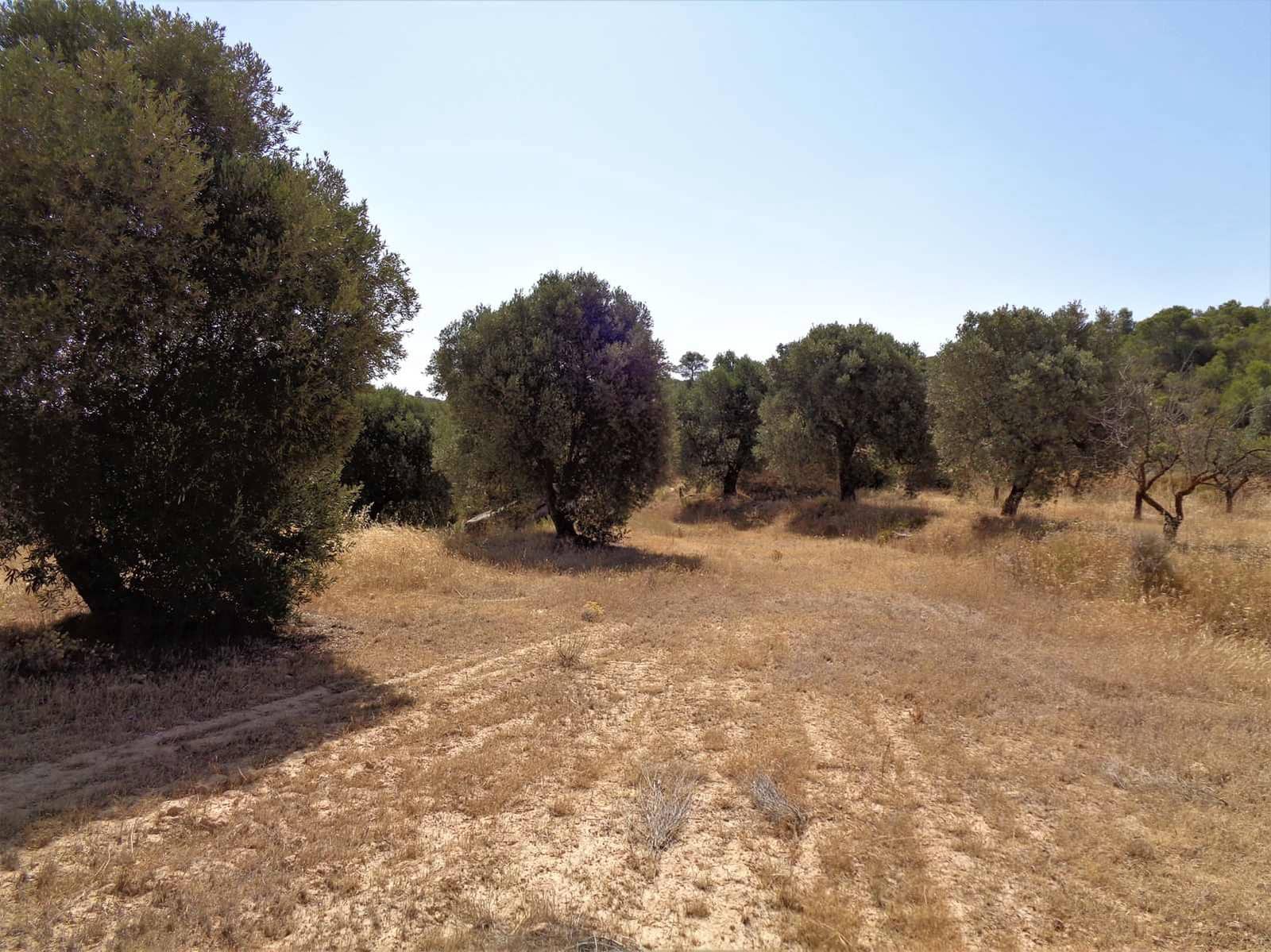 Finca/Hus på landet till salu i Maella - 18 500 € (Ref: 7406972)