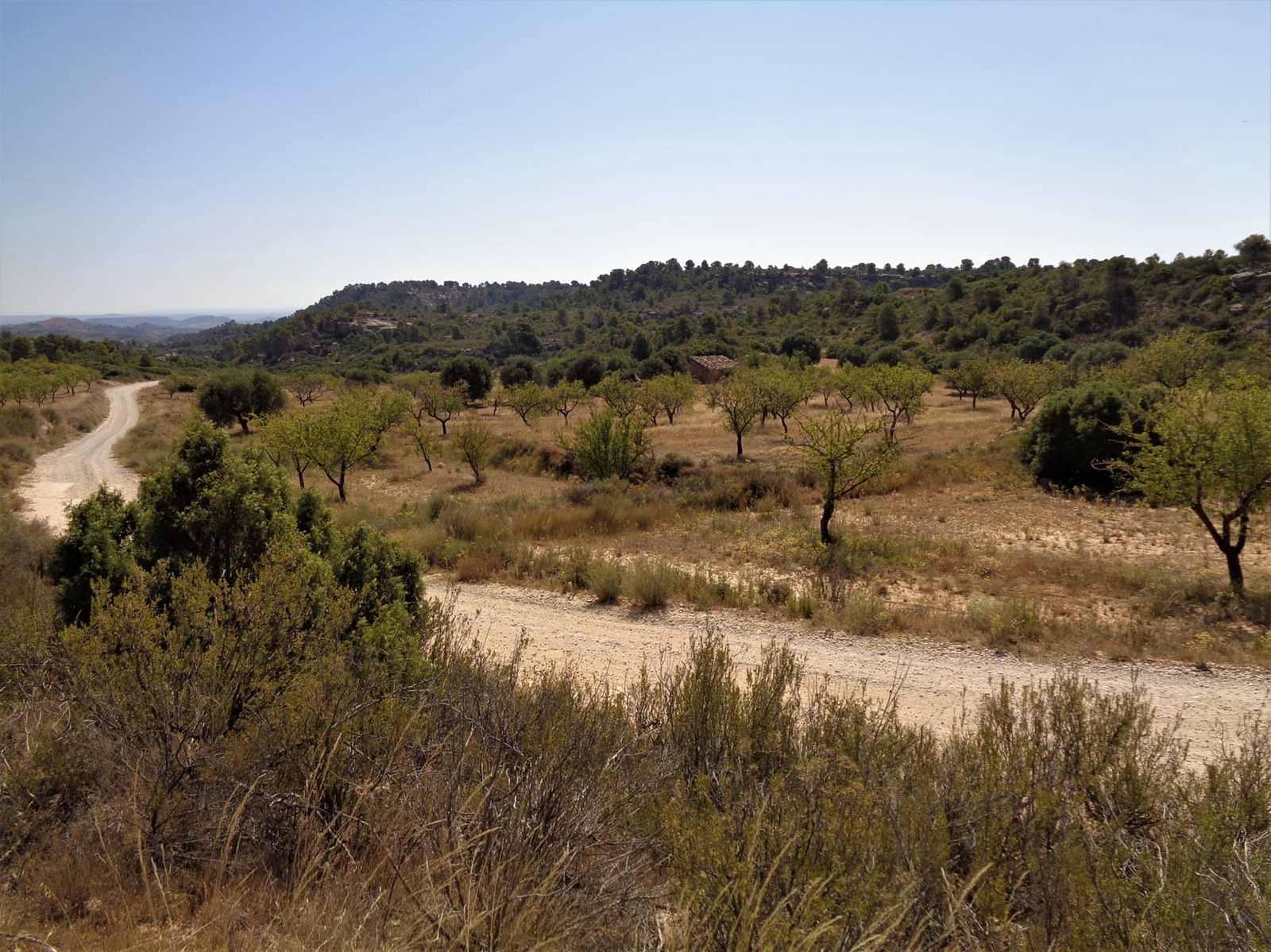 Finca/Hus på landet till salu i Maella - 18 500 € (Ref: 7406972)