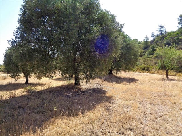 Finca/Landhuis te koop in Maella - € 18.500 (Ref: 7406972)