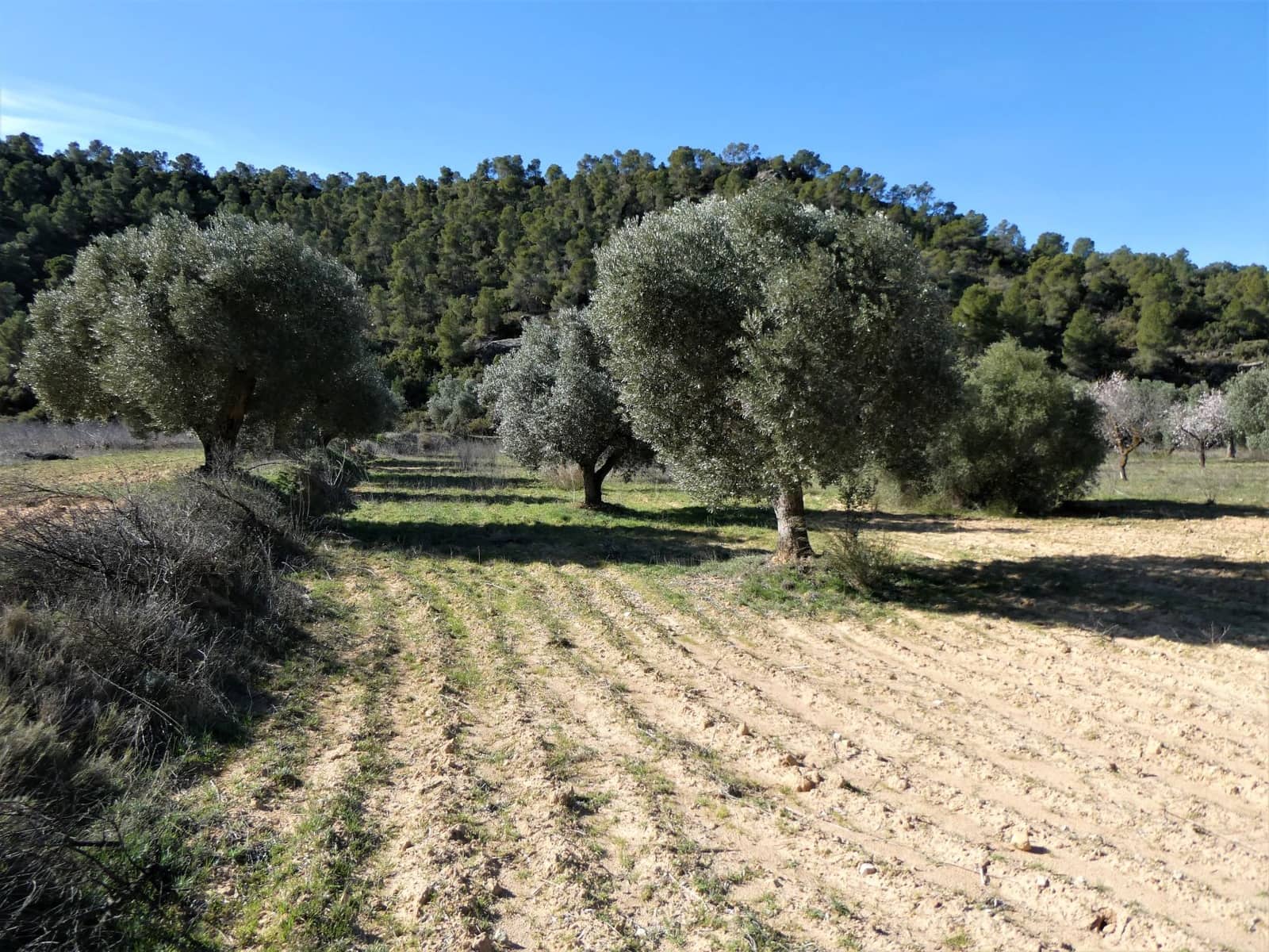 Finca/Country House for sale in Maella - € 38,000 (Ref: 7446452)