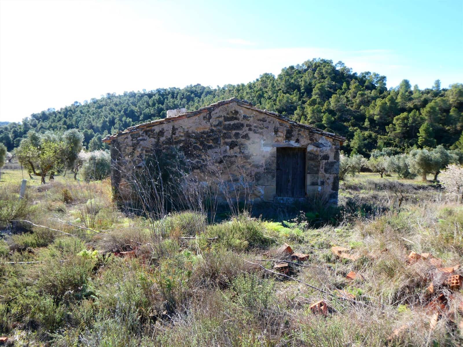 Finca/Country House for sale in Maella - € 38,000 (Ref: 7446452)