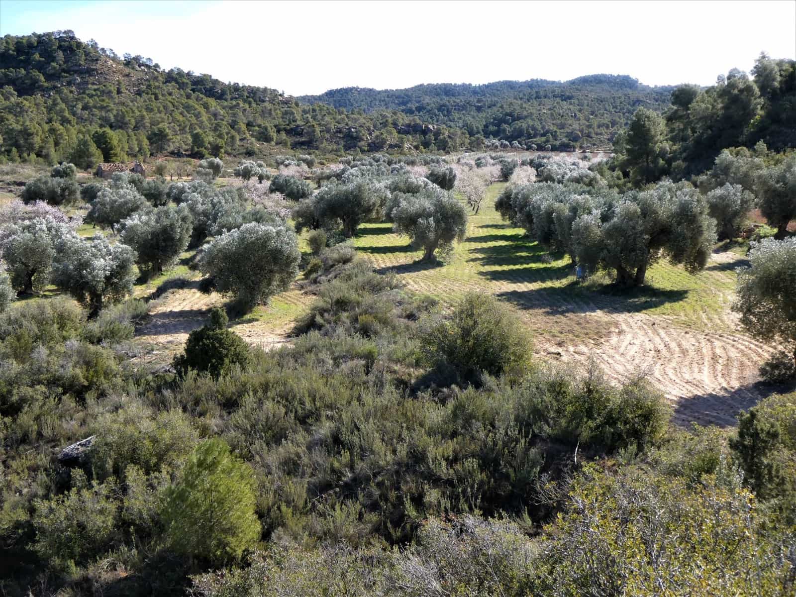 Finca/Country House for sale in Maella - € 38,000 (Ref: 7446452)