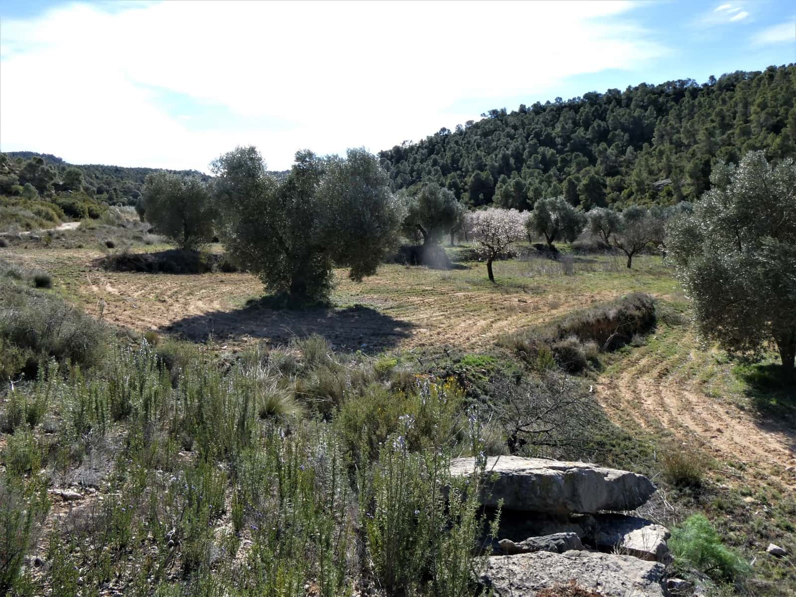 Finca/Country House for sale in Maella - € 38,000 (Ref: 7446452)