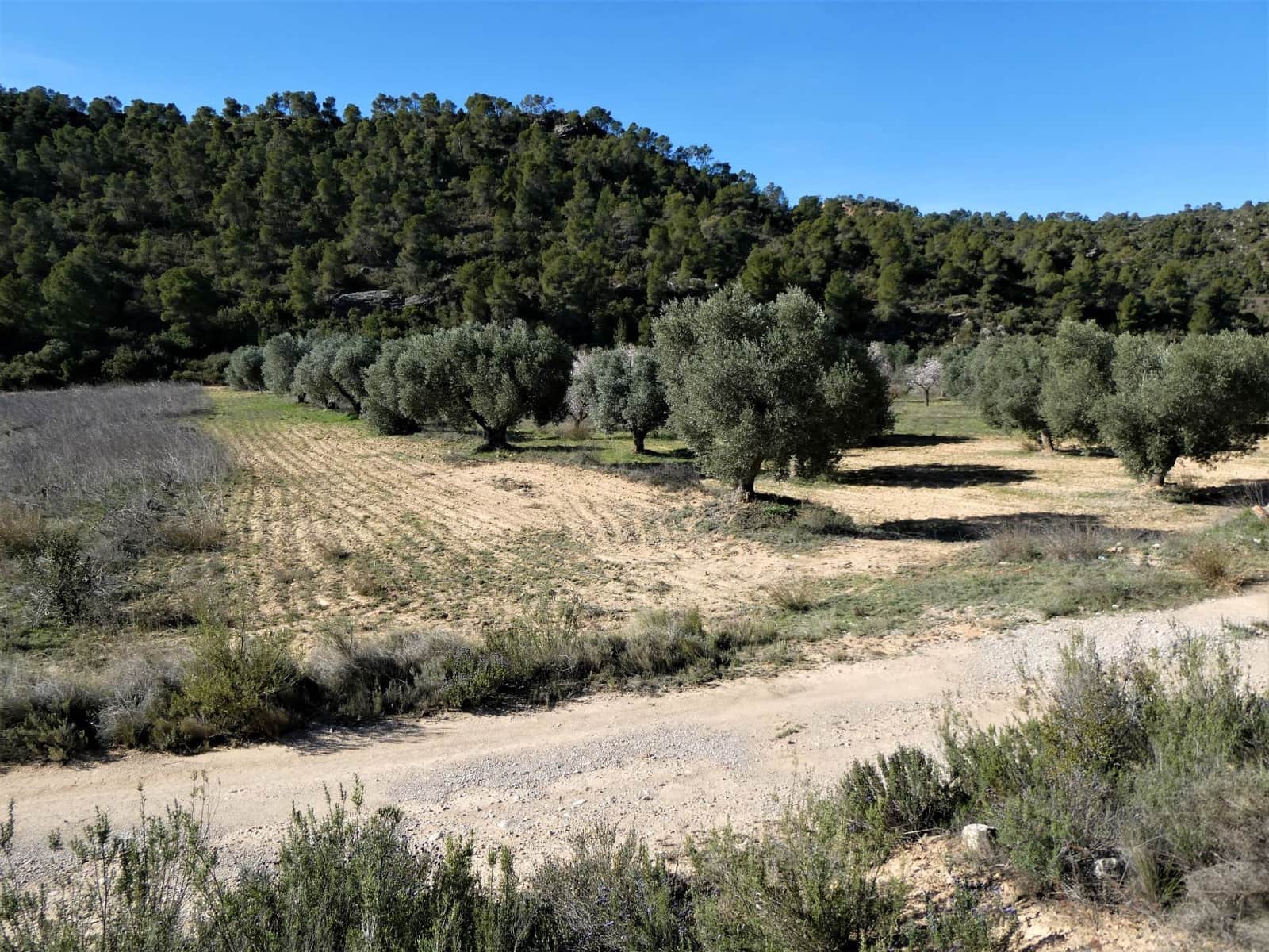 Finca/Country House for sale in Maella - € 38,000 (Ref: 7446452)