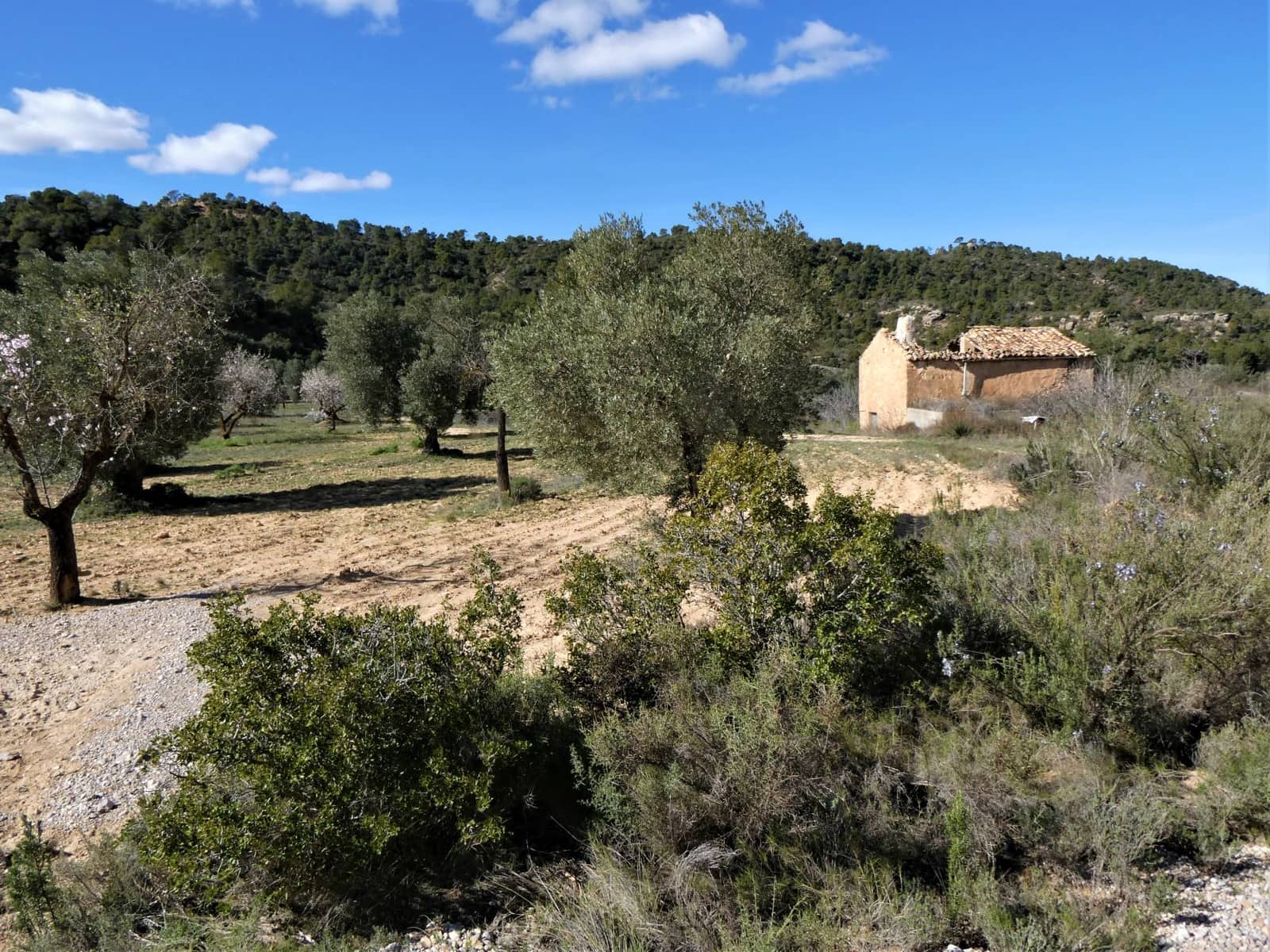 Finca/Country House for sale in Maella - € 38,000 (Ref: 7446452)