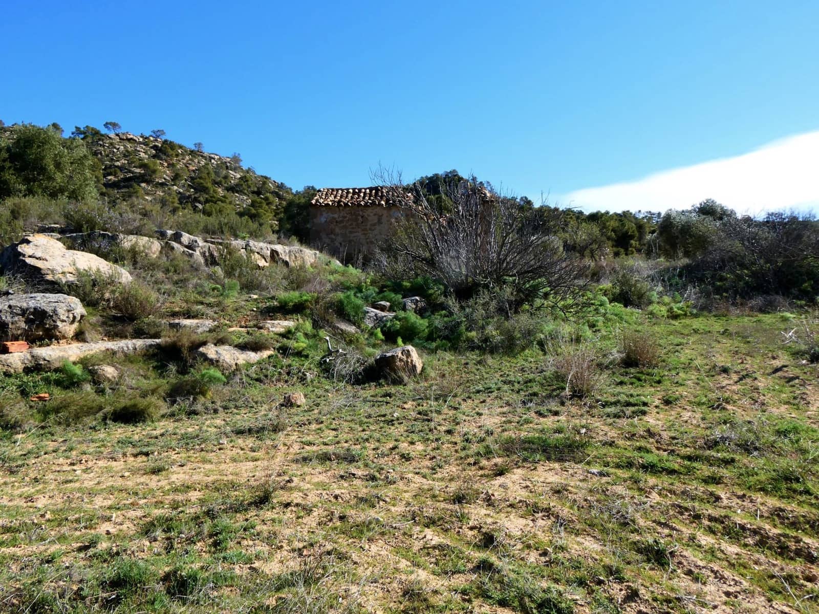 Finca/Country House for sale in Maella - € 38,000 (Ref: 7446452)