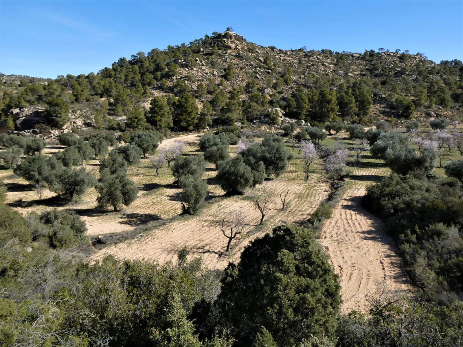 Finca/Country House for sale in Maella - € 38,000 (Ref: 7446452)