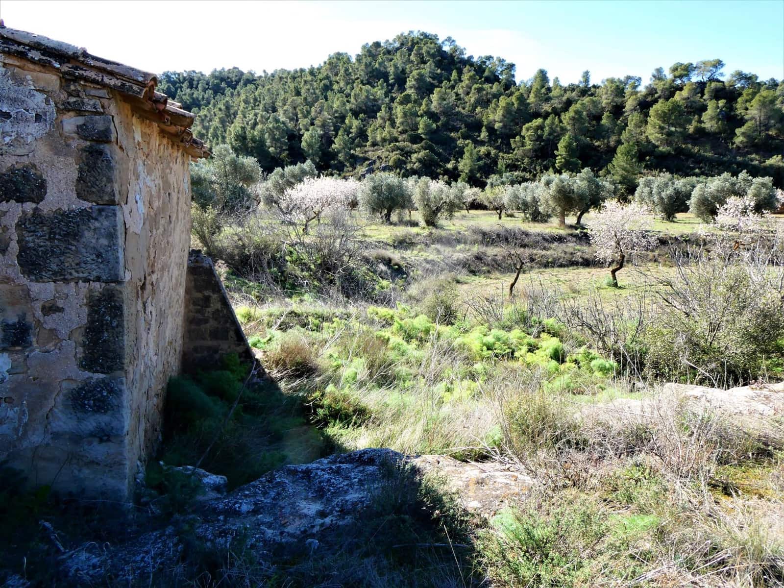 Finca/Country House for sale in Maella - € 38,000 (Ref: 7446452)