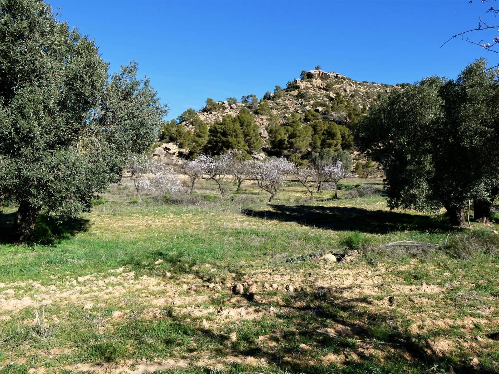 Finca/Country House for sale in Maella - € 38,000 (Ref: 7446452)