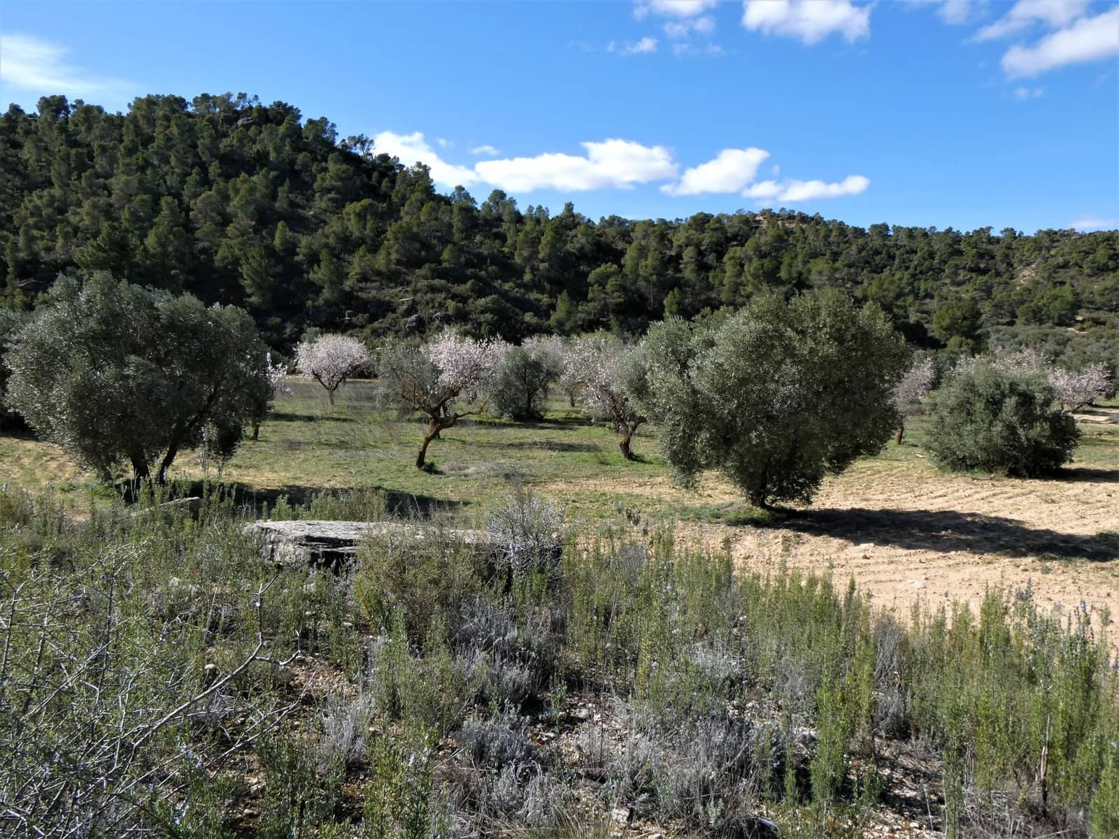 Finca/Country House for sale in Maella - € 38,000 (Ref: 7446452)