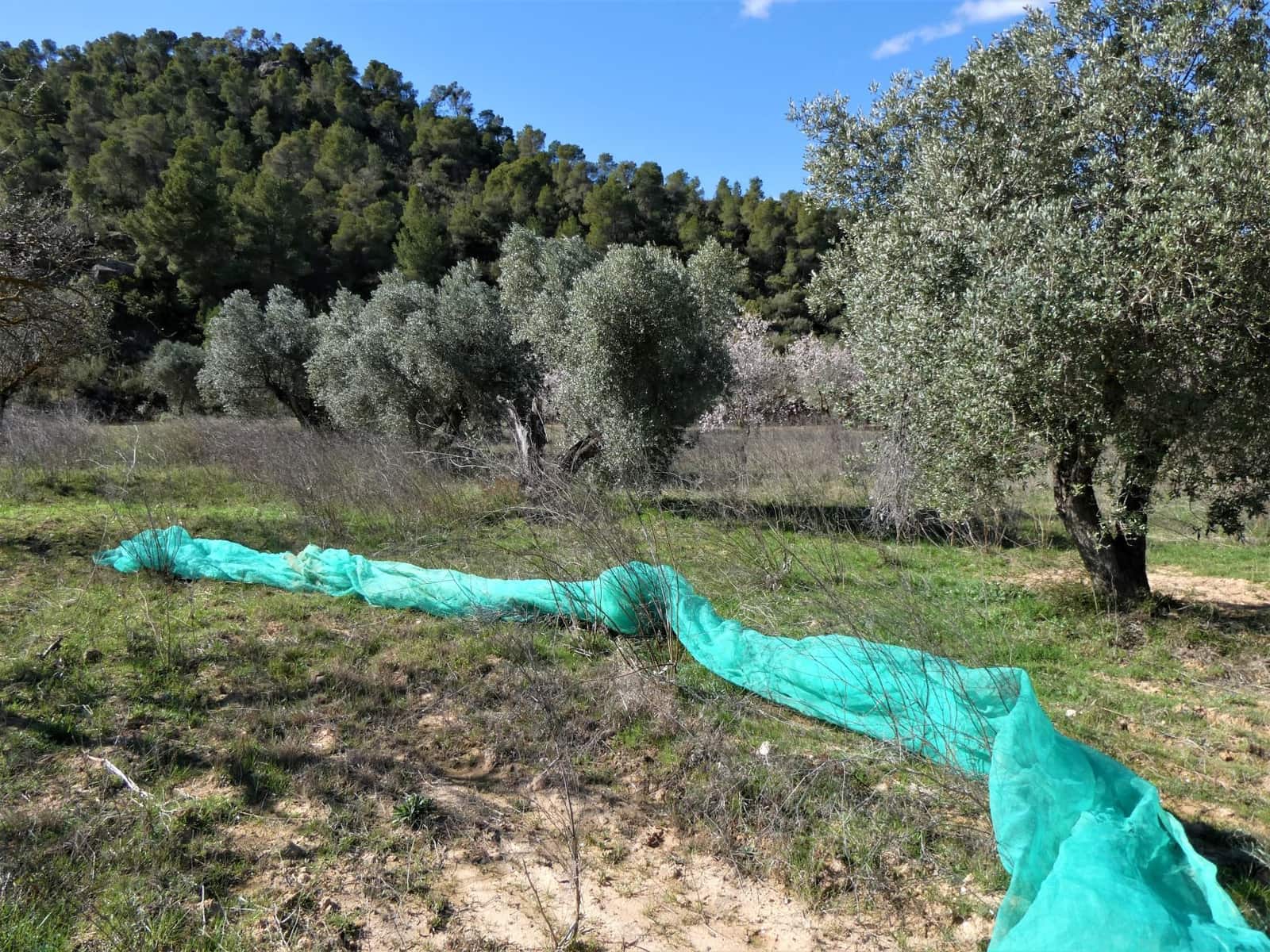 Finca/Country House for sale in Maella - € 38,000 (Ref: 7446452)