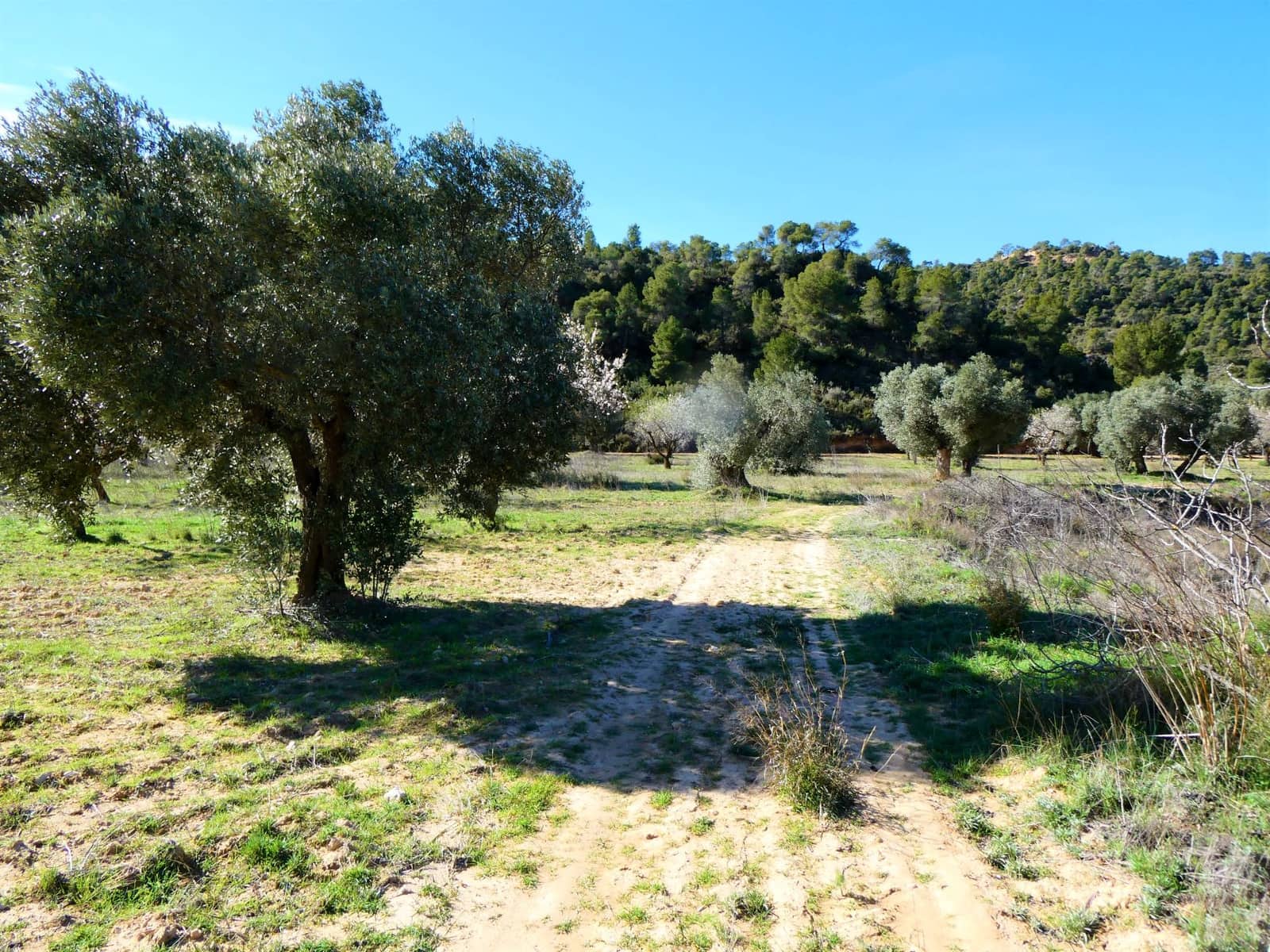 Finca/Country House for sale in Maella - € 38,000 (Ref: 7446452)