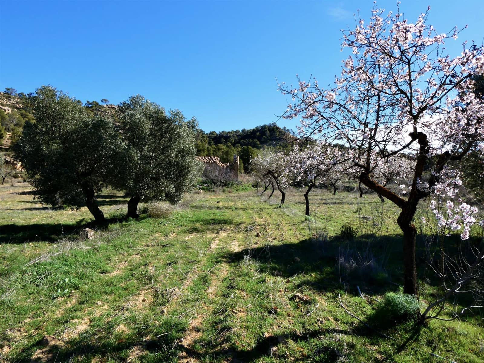 Finca/Country House for sale in Maella - € 38,000 (Ref: 7446452)