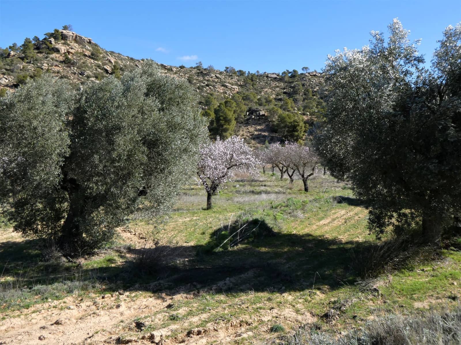 Finca/Country House for sale in Maella - € 38,000 (Ref: 7446452)