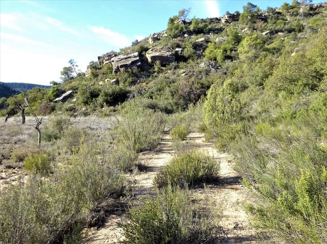 Finka/Dom wiejski na sprzedaż w Maella - 12 500 € (Ref: 7467373)