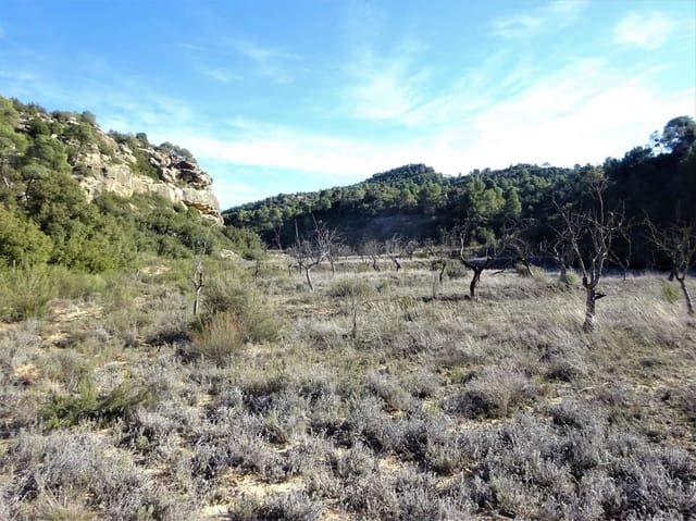 Finca/Casa Rural en Maella en venta - 12.500 € (Ref: 7467373)