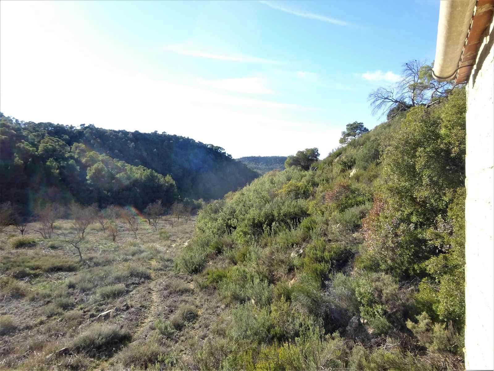 Finca/Casa Rural en Maella en venta - 12.500 € (Ref: 7467373)