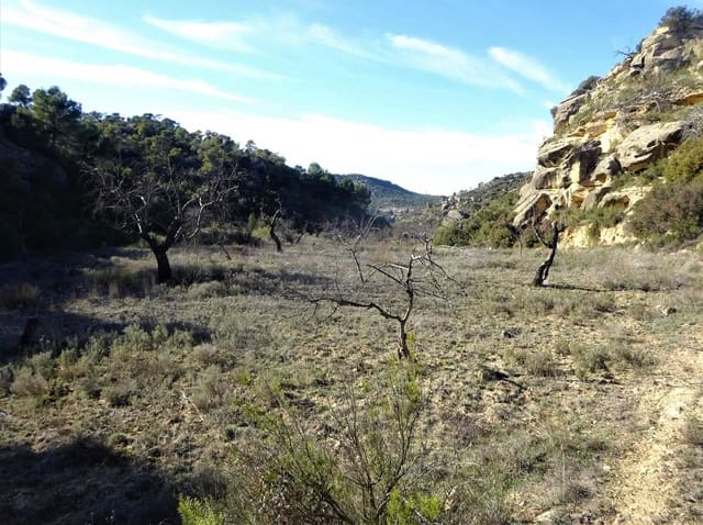 Finca/Casa Rural en Maella en venta - 12.500 € (Ref: 7467373)