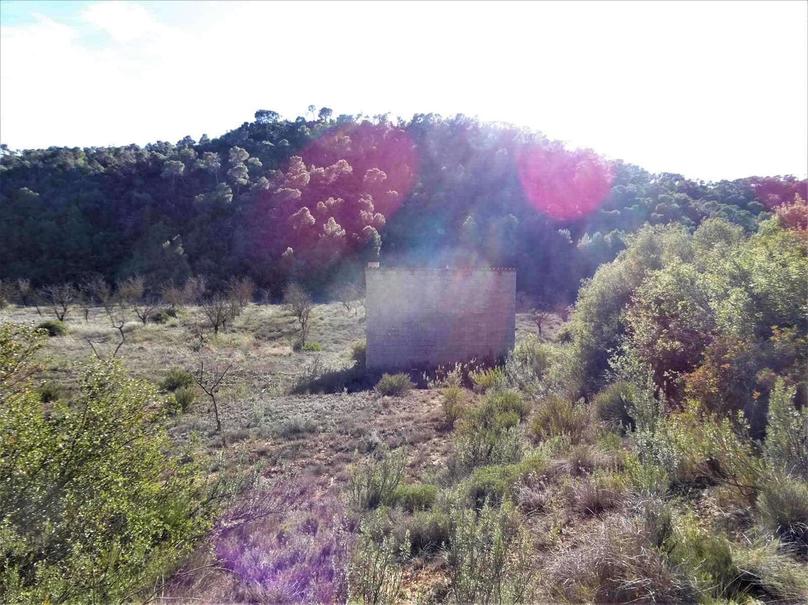 Finca/Casa Rural en Maella en venta - 12.500 € (Ref: 7467373)