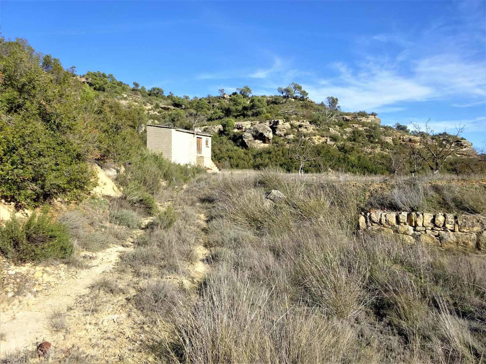 Finca/Casa Rural en Maella en venta - 12.500 € (Ref: 7467373)