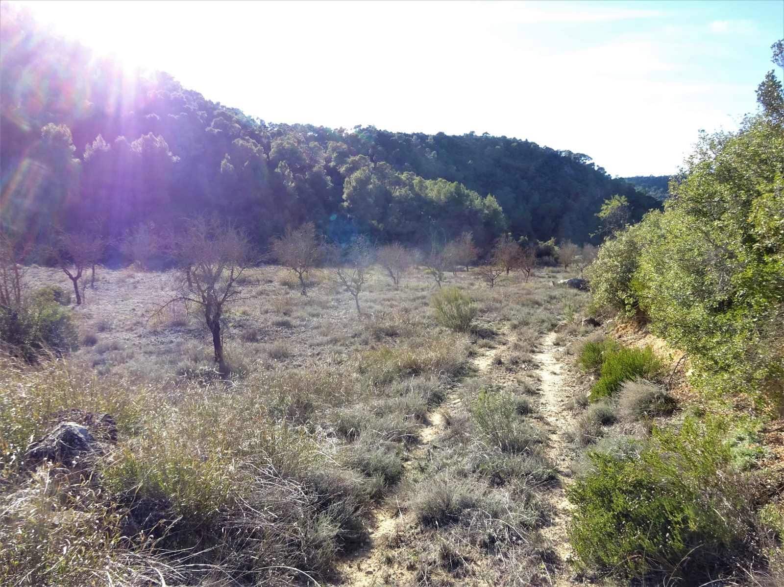 Finca/Casa Rural en Maella en venta - 12.500 € (Ref: 7467373)