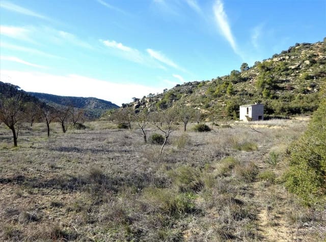 Finca/Casa Rural en Maella en venta - 12.500 € (Ref: 7467373)
