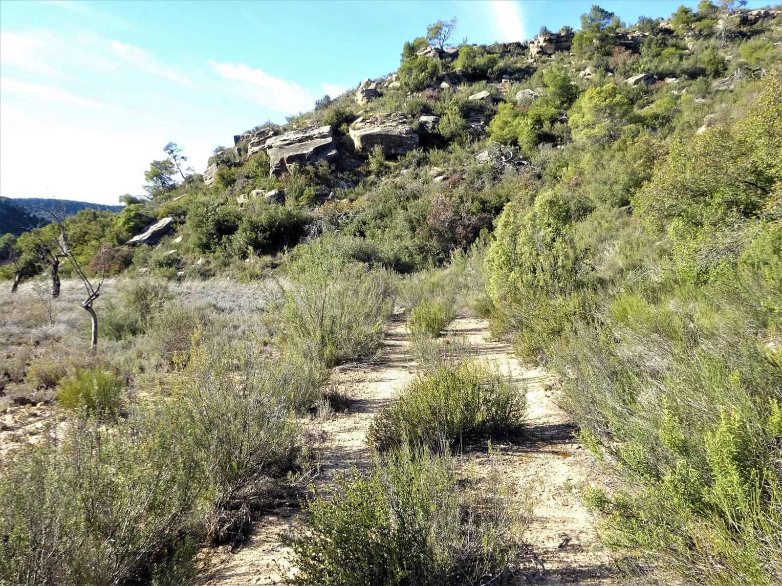 Finca/Casa Rural en Maella en venta - 12.500 € (Ref: 7467373)