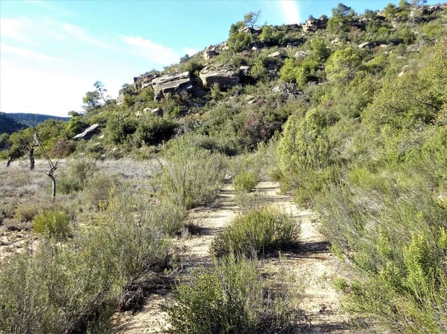 Finca/Casa Rural en Maella en venta - 12.500 € (Ref: 7467373)