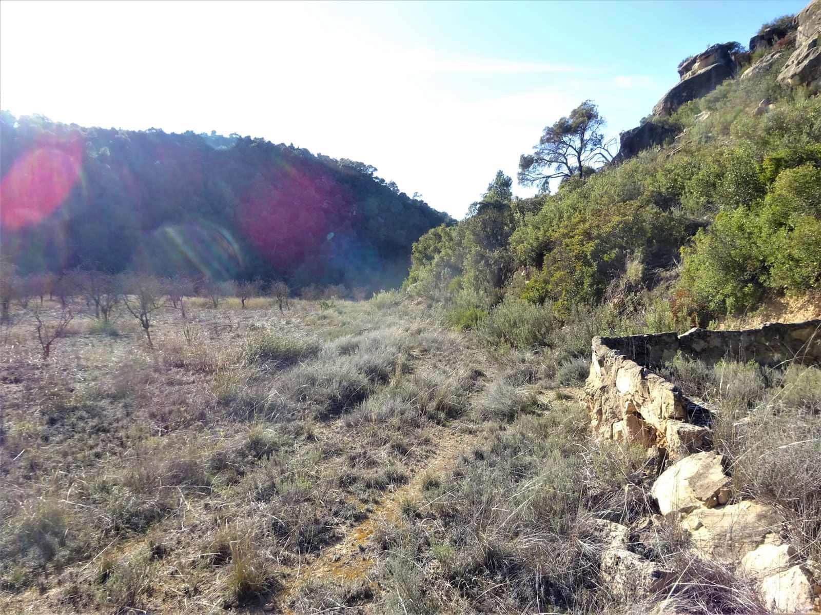 Finca/Casa Rural en Maella en venta - 12.500 € (Ref: 7467373)