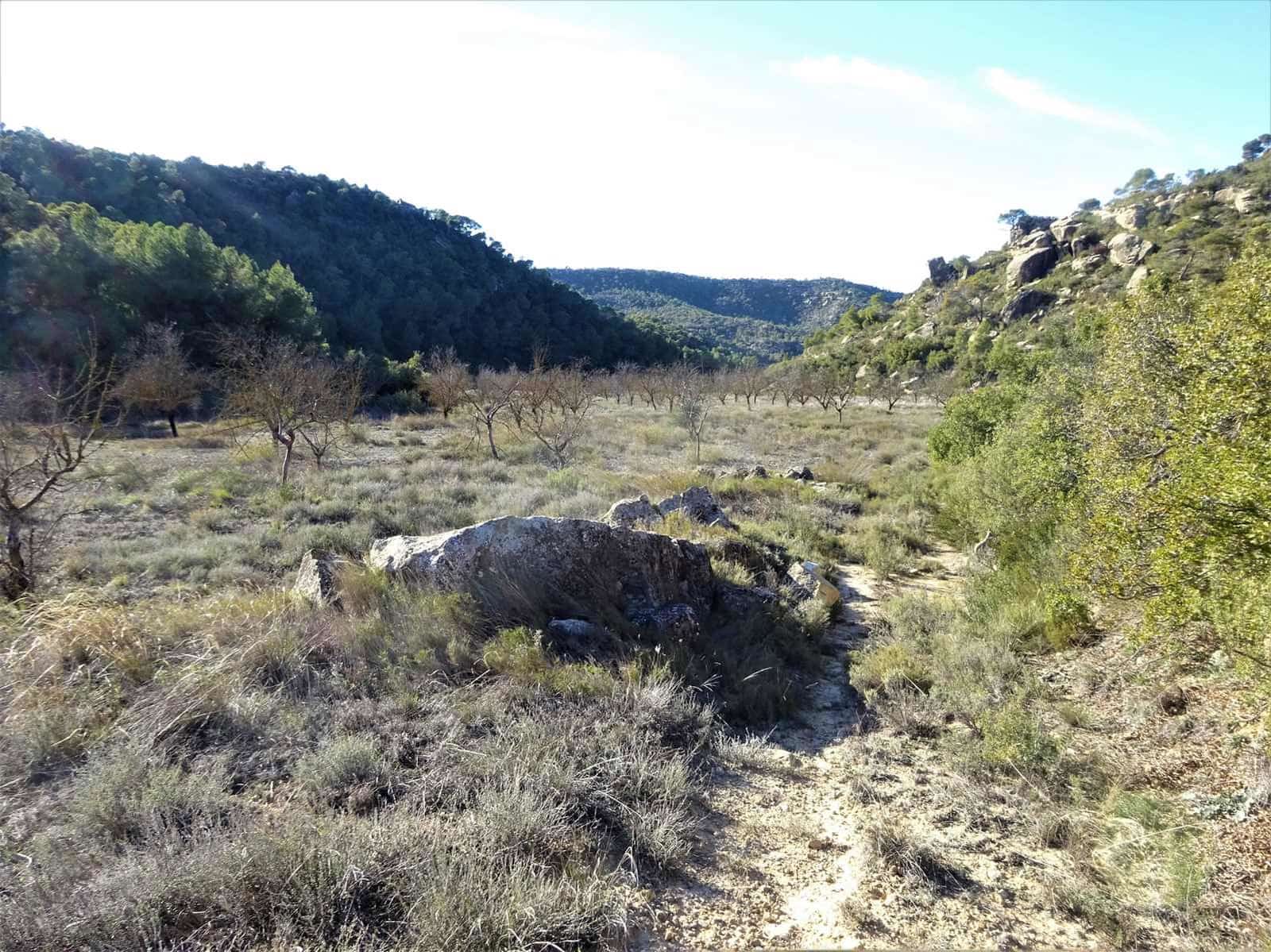 Finca/Casa Rural en Maella en venta - 12.500 € (Ref: 7467373)