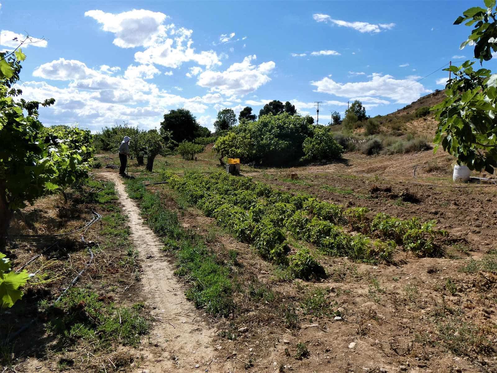 Maalaistalo myytävänä paikassa Caspe - 69 000 € (Ref: 7662822)