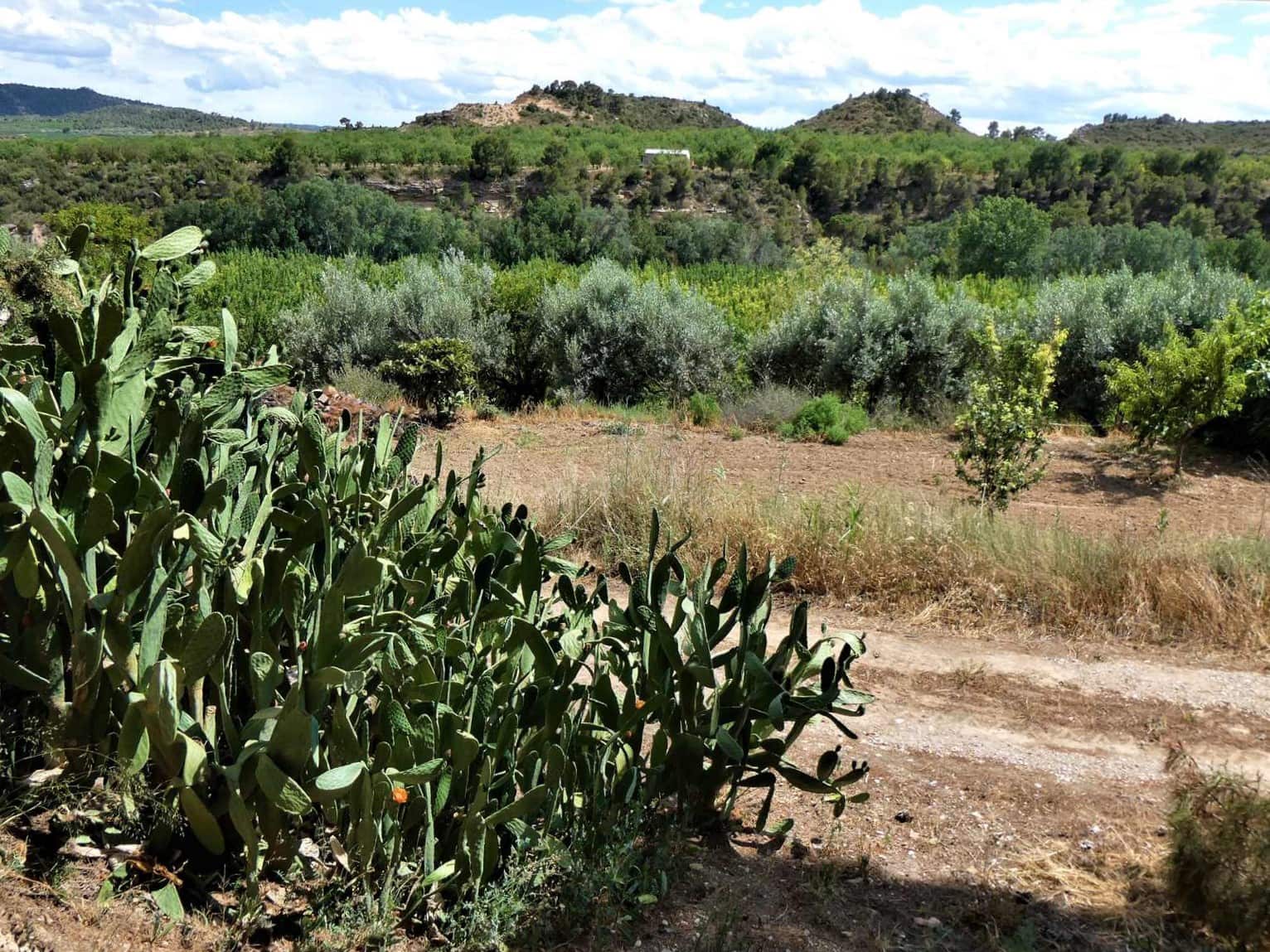 Maalaistalo myytävänä paikassa Caspe - 69 000 € (Ref: 7662822)