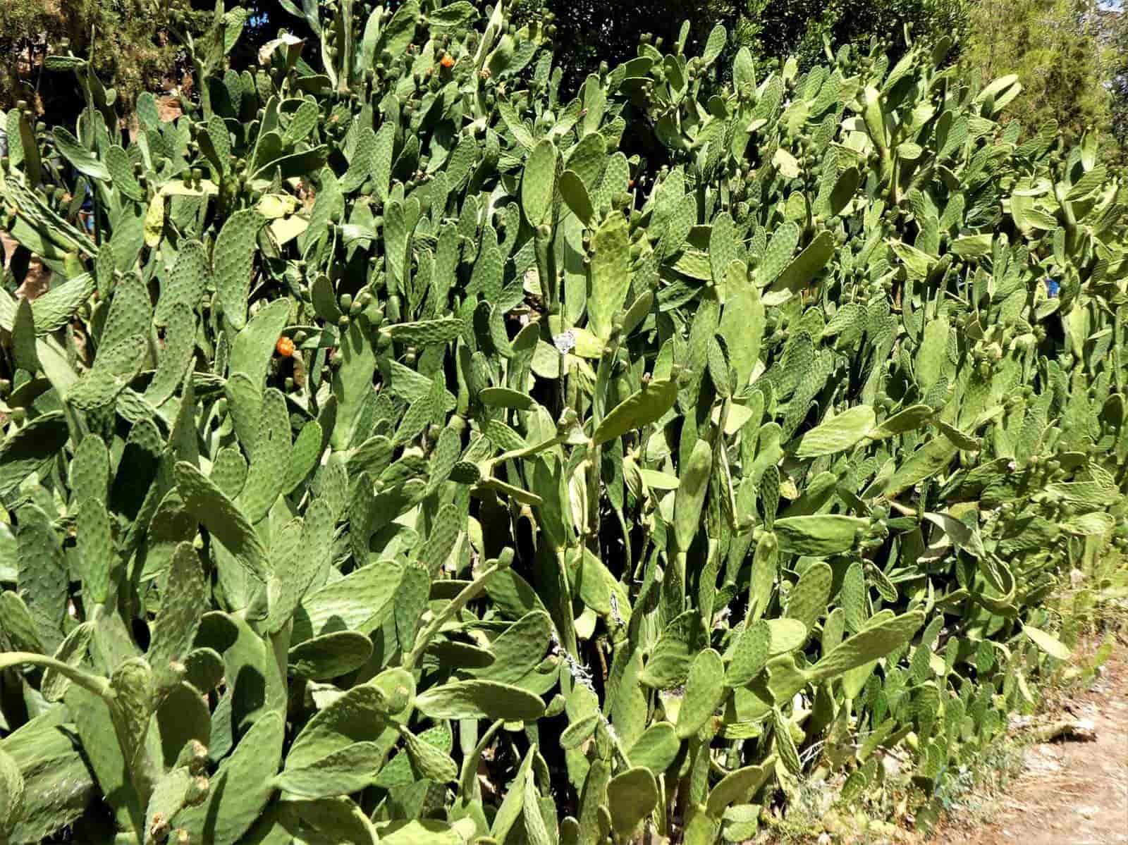 Maalaistalo myytävänä paikassa Caspe - 69 000 € (Ref: 7662822)